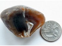 Agate-CaronCrackedQ-Img_0820SSS.jpg