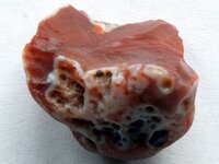 Agate-CaronLittleRedHalf-Img_0825SSS.jpg