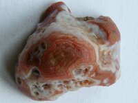 Agate-CaronLittleRedHalf-Img_0826SSS.jpg