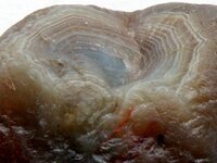 Agate-CaronNode-08-02-2012-IMG_0816CSSS.jpg