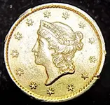 1 Dollar Gold Coin (1).webp