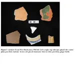 treasure, ga, sapelo shards.webp