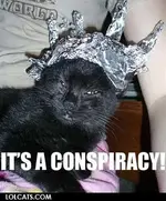 tin-foil-hat-cat.webp