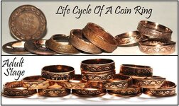 Coin rings 13.jpg