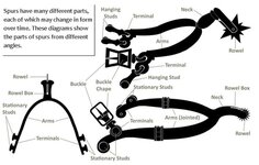 Spur-diagram-mainpage[1].jpg