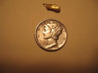 goldnsilver (Small).jpg