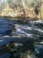 rapids2.webp