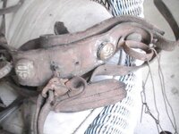 horsegear_rosette_US_three-tabs_on-harness-with-reinguides_view6_Ebay_403259957.jpg