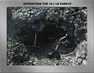 10.1 LB SAMPLE EXTRACTION.webp