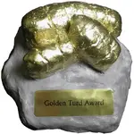 MED_turd-award-11.webp