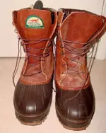 Redwing.webp