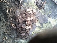 143 pennies in a coin spill.jpg