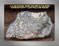 3.2 LB NATIVE - RUBY SILVER (REV) (SH).webp