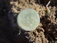 Metal Detecting 2013 060.jpg