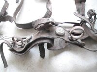 horsegear_rosette_US_three-tabs_on-harness-with-reinguides_view1_Ebay.jpg