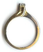 Ring.jpg