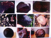 Comparative Samples of Cobble Like Meteorites 003.jpg