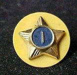 133481304_vintage-cub-eagle-boy-scout-webelo-gold-blue-star-1-pin-.jpg