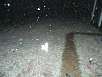 2-19-13 Snow 007.JPG