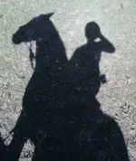 horse & rider shadow.webp