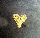 Gold Heart.webp