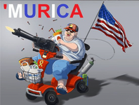 murica_zpsba40d50d.png