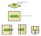 egg-roll-folding-step1.webp