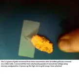 amalgam gold 5 gram.webp