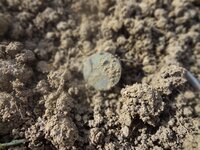 Metal Detecting 2013 140.jpg