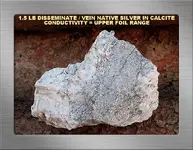 1.5 LB DISSEMINATED SILVER SAMPLE.webp