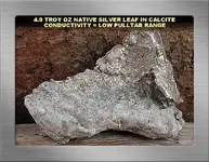 4.9 TROY OZ LEAF SILVER SAMPLE (L).webp