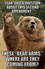 bear arms.webp