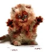 Zombie kitty.webp