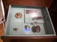 Mandarin_FL_Maple_Leaf_artifacts02.jpg