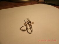 1st ring 003.JPG