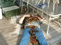 warren lobster.webp