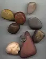 dinosaur gizzard stones.webp