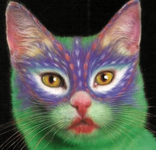 makeup cat.png