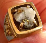 Dutchman Gold Ring.webp