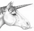 Unicorn.webp