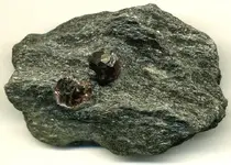 Garnet green schist.webp