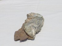 boat---silver-ant-hill-metal--in--coral 009.jpg