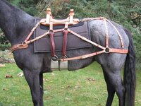 pack saddle.jpg