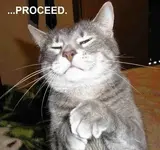 Funny Cat Proceed.webp