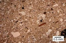 biotite and quartz.jpg