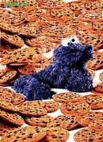 COOKIE MONSTER.jpg