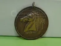 coin reverse.webp