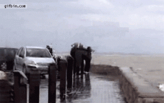 1322846409_photographer_vs_giant_wave.gif