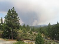 Rim Fire 050.JPG