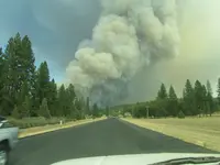 Rim Fire 043.webp